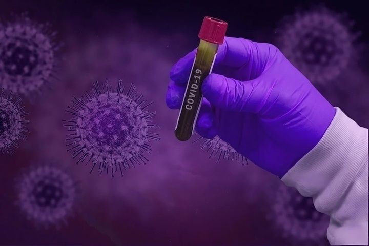Высокоточное тестирование на антитела к коронавирусу в Зеленограде
